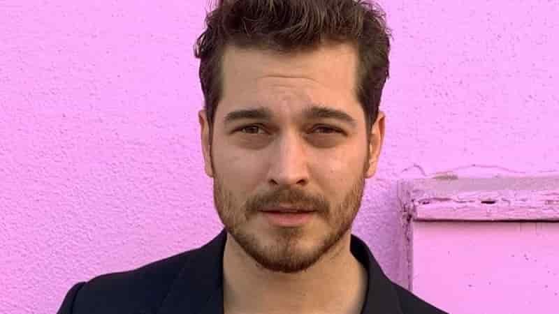 cagatay ulusoy earthquake, wearing a black t-shirt with bear on a pink backgroiund,